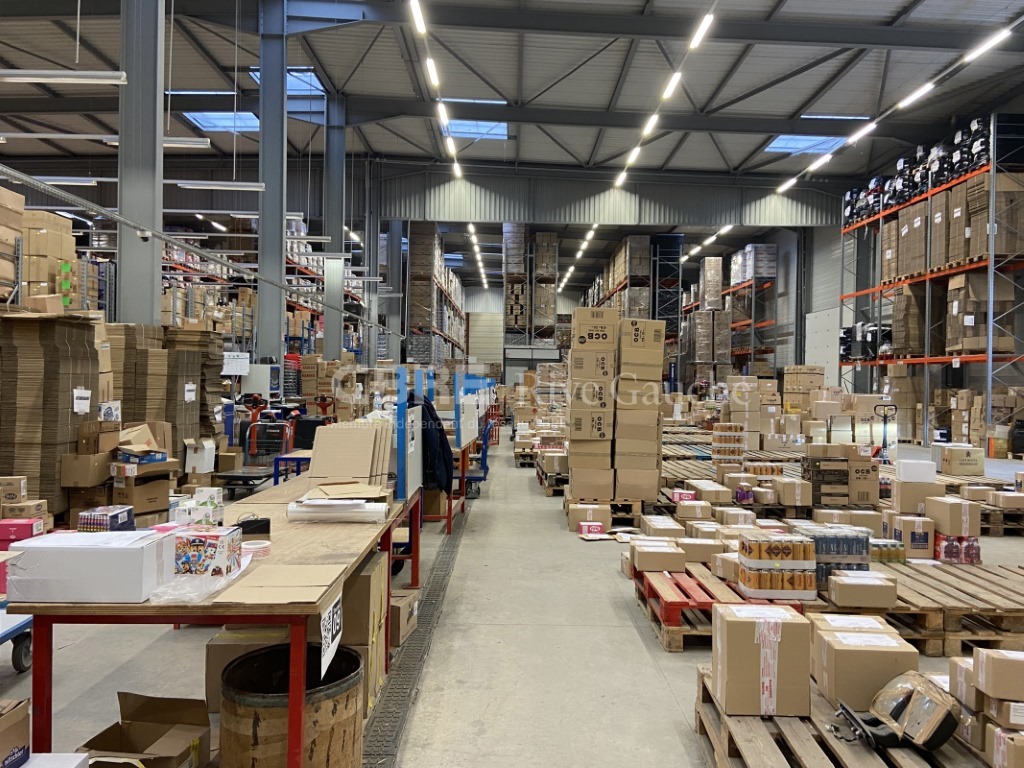 CBRE RIVE GAUCHE VENTE-ENTREPOT-ILLKIRCH_GRAFFENSTADEN-67
