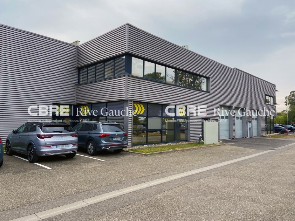 CBRE RIVE GAUCHE LOCATION-LOCAL D'ACTIVITE-NIEDERHAUSBERGEN-67