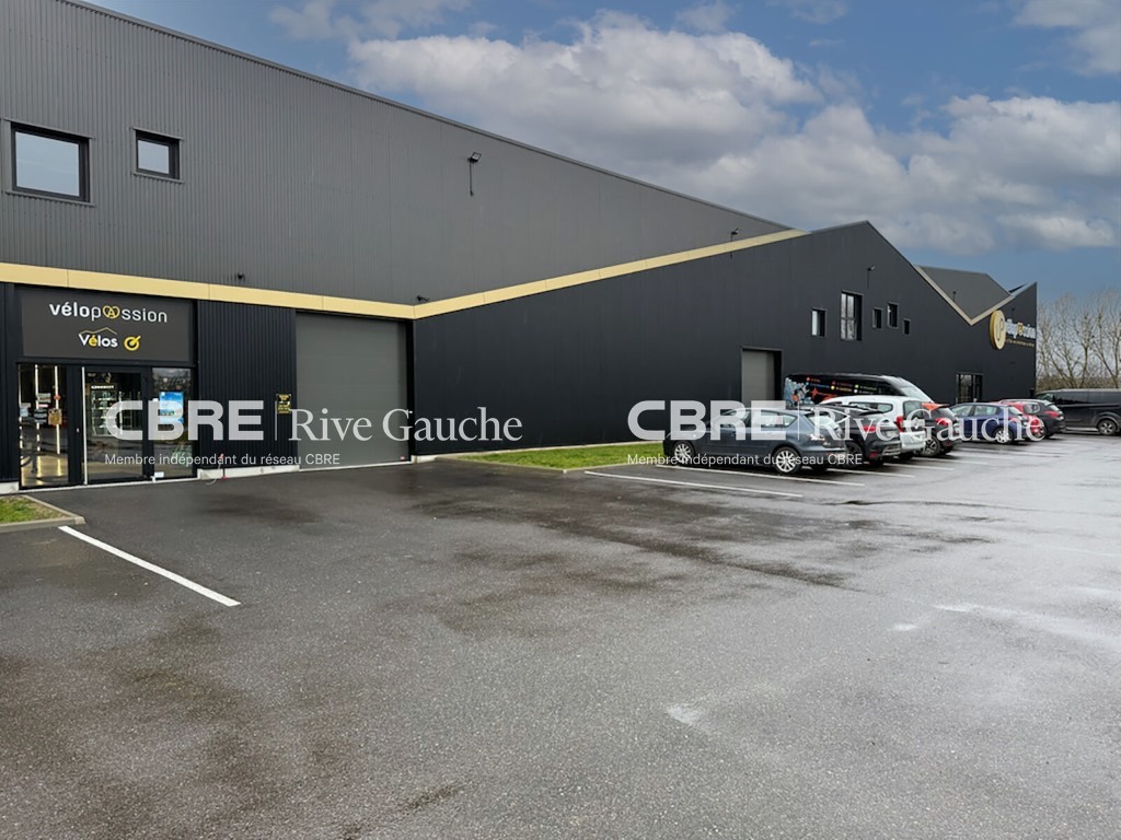 CBRE RIVE GAUCHE LOCATION-LOCAL D'ACTIVITE-MARLENHEIM-67