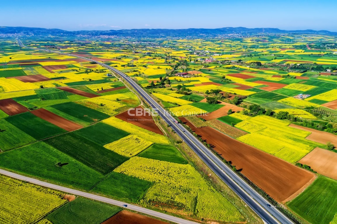 CBRE RIVE GAUCHE VENTE-TERRAIN-BERGHEIM-68