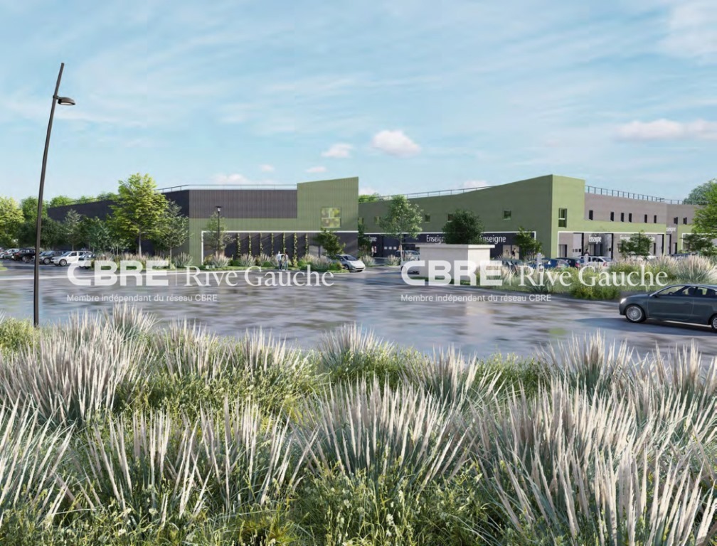 CBRE RIVE GAUCHE VENTE-LOCAL D'ACTIVITE-ESCHAU-67