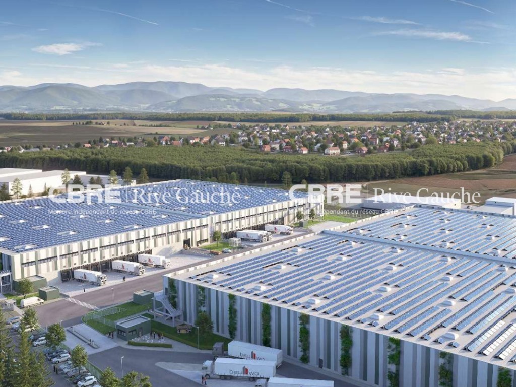 CBRE RIVE GAUCHE LOCATION-ENTREPOT-GAMBSHEIM-67