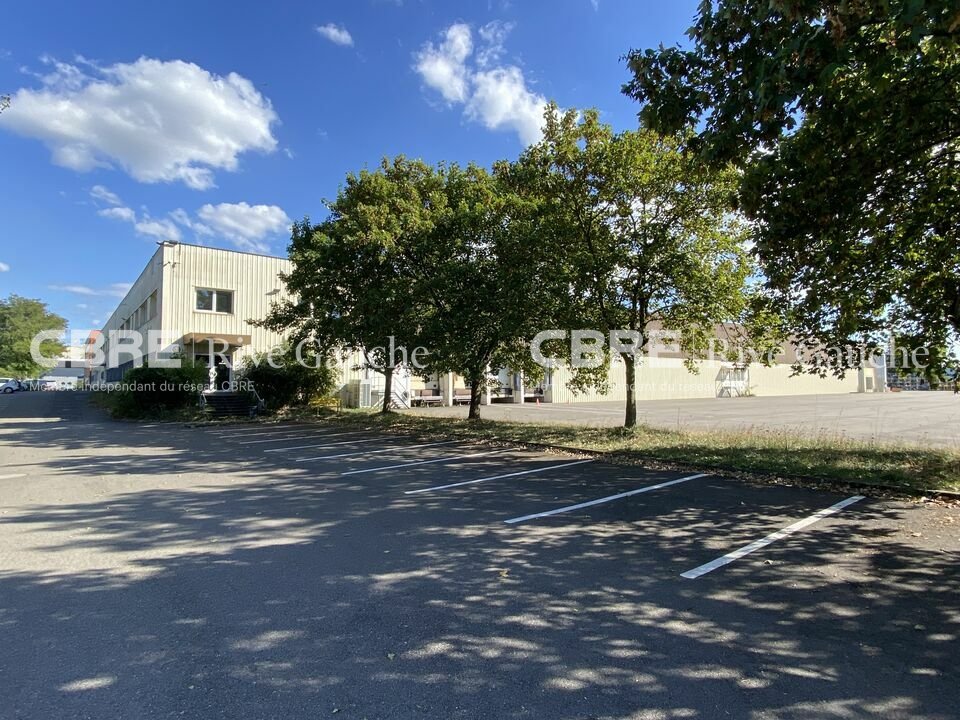 CBRE RIVE GAUCHE LOCATION-ENTREPOT-STRASBOURG-67