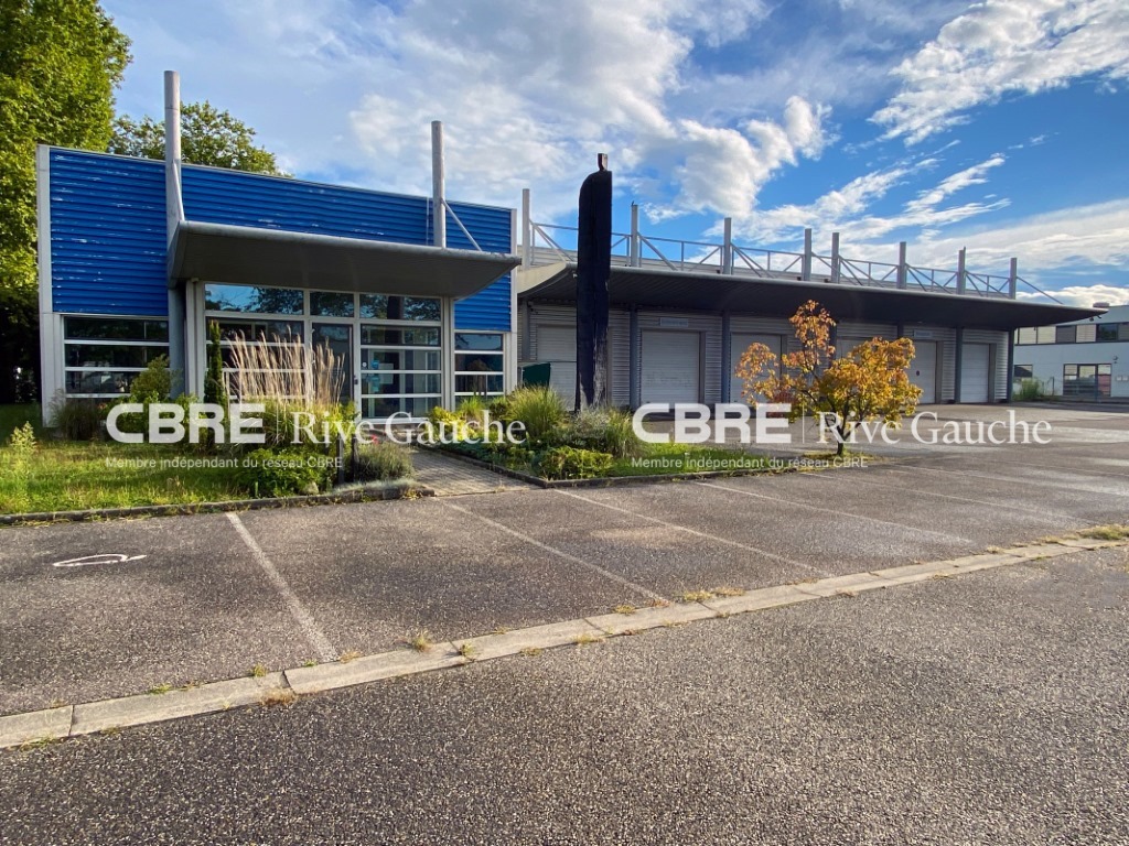 CBRE RIVE GAUCHE LOCATION-LOCAL D'ACTIVITE-ILLKIRCH_GRAFFENSTADEN-67