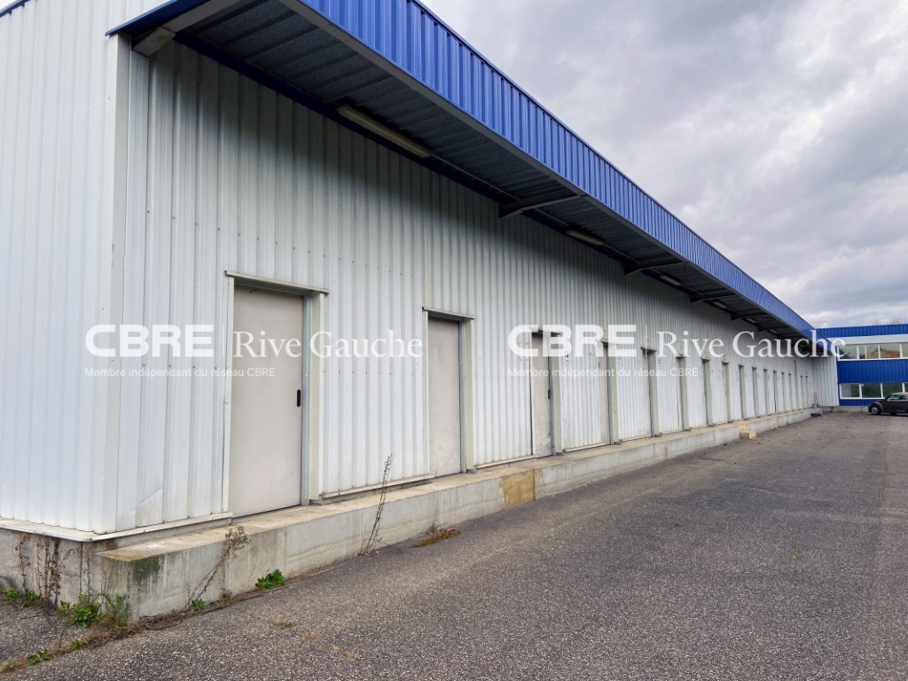 CBRE RIVE GAUCHE LOCATION-LOCAL D'ACTIVITE-SOUFFELWEYERSHEIM-67