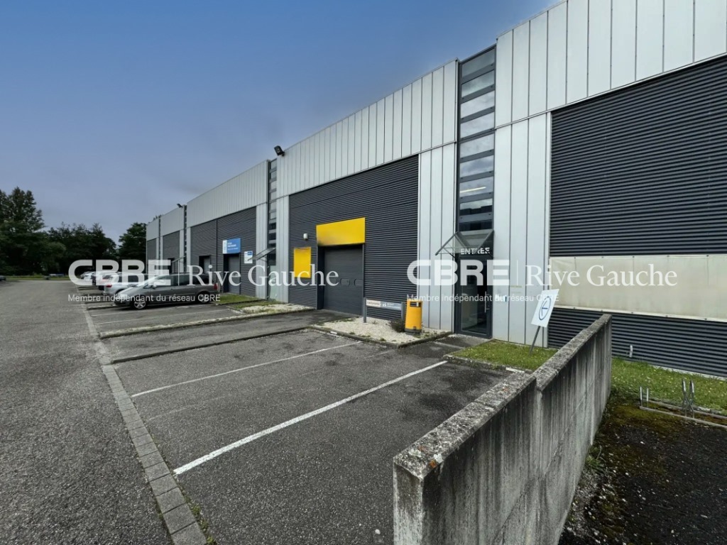 CBRE RIVE GAUCHE LOCATION-LOCAL D'ACTIVITE-MUNDOLSHEIM-67