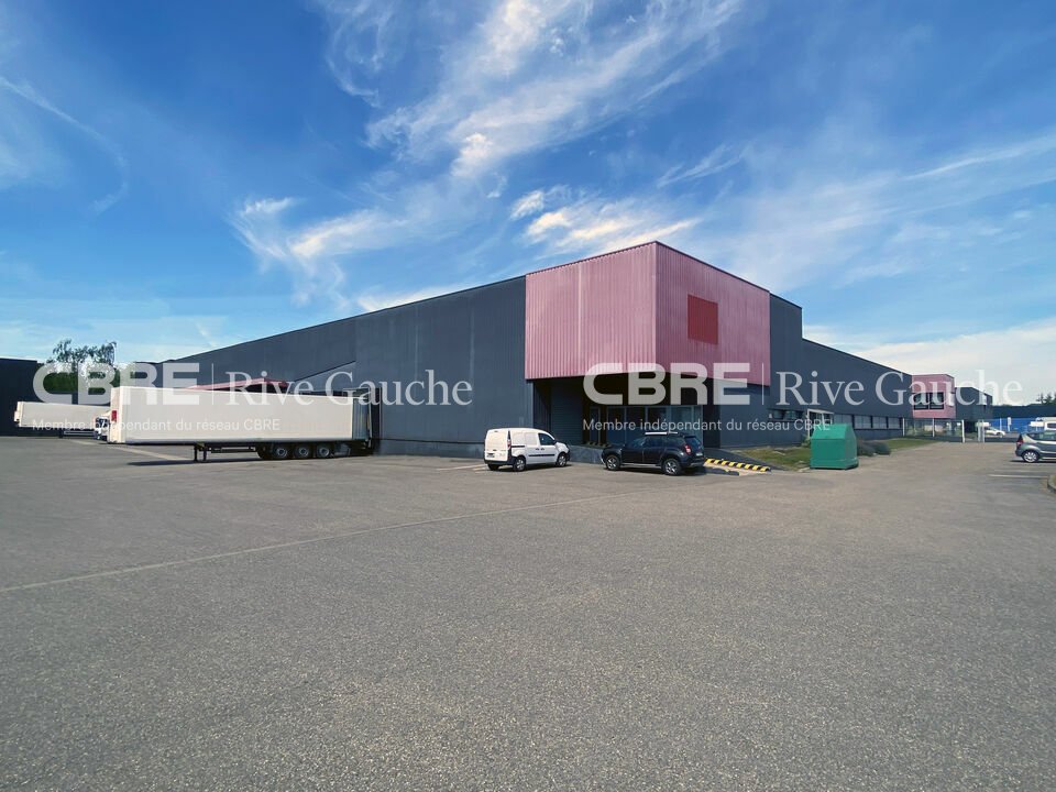 CBRE RIVE GAUCHE LOCATION-ENTREPOT-ILLKIRCH_GRAFFENSTADEN-67