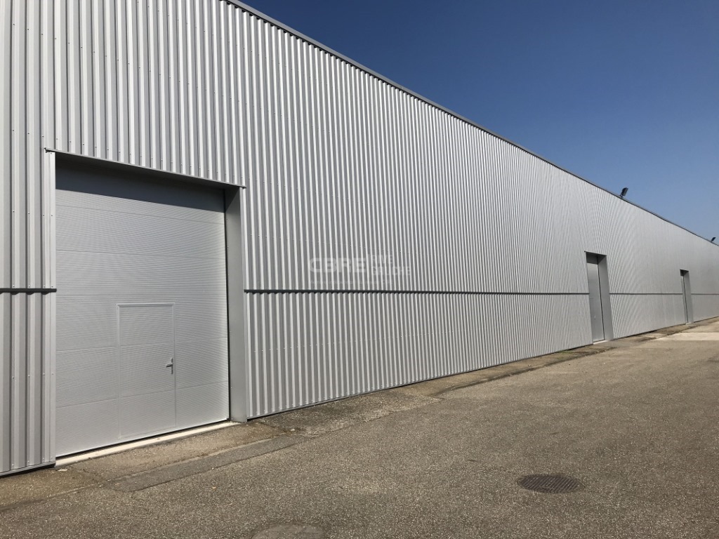 CBRE RIVE GAUCHE LOCATION-LOCAL D'ACTIVITE-BISCHHEIM-67