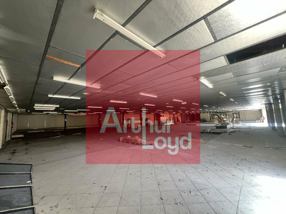 ARTHUR LOYD AGEN VENTE-LOCAL COMMERCIAL-PUJOLS-47