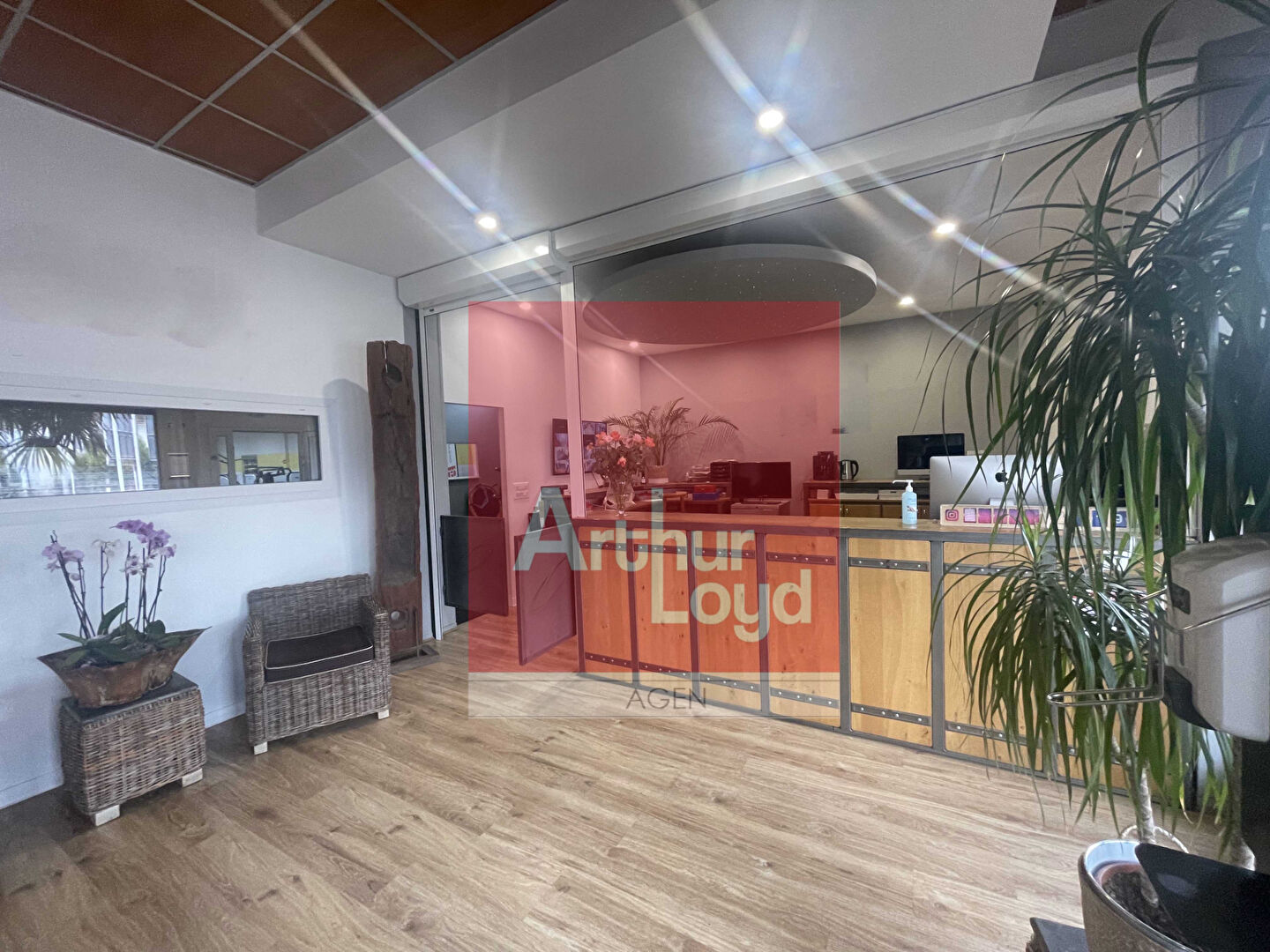 ARTHUR LOYD AGEN VENTE-LOCAL COMMERCIAL-BOE-47