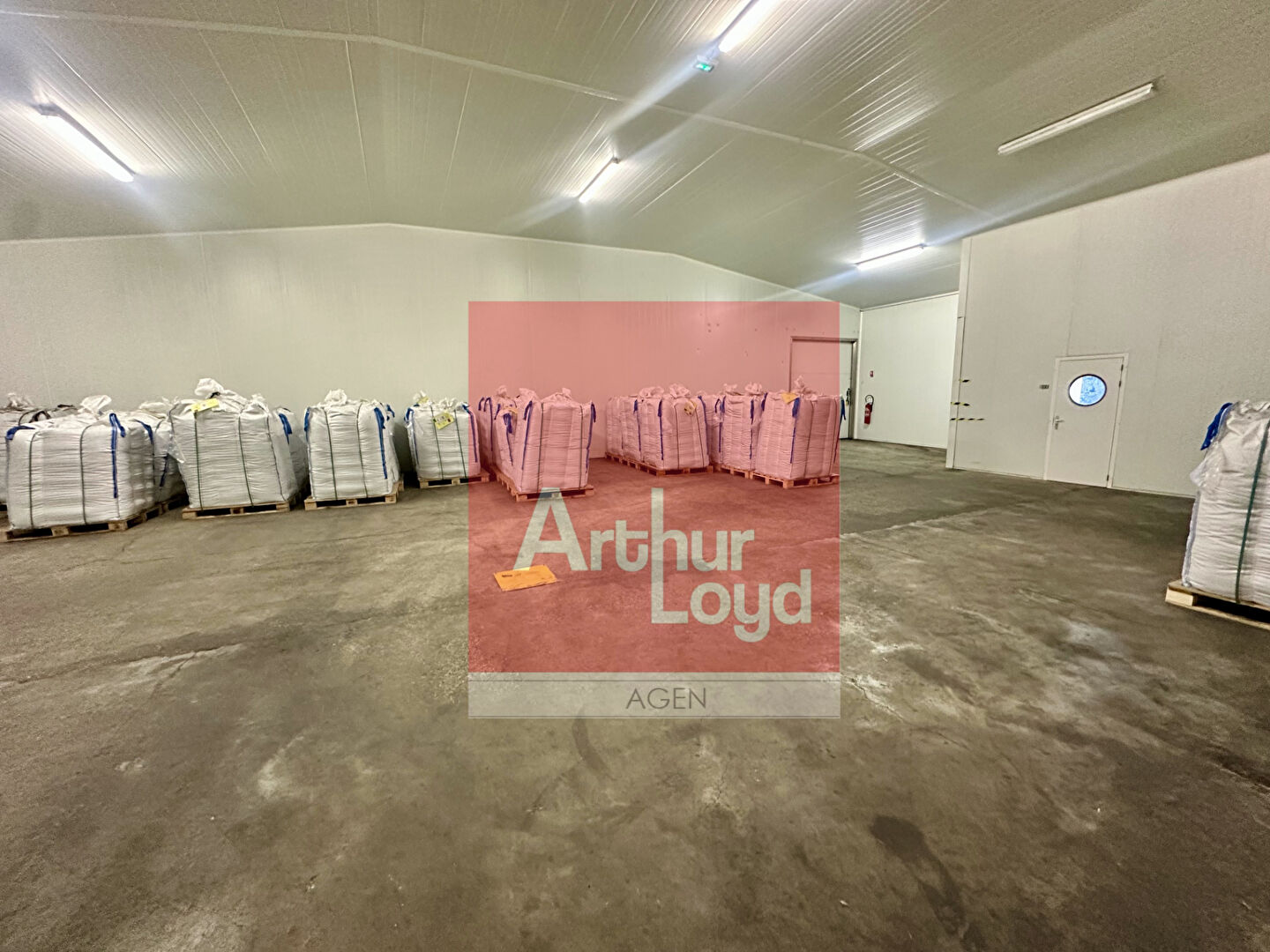 ARTHUR LOYD AGEN LOCATION-LOCAL D'ACTIVITE-BON_ENCONTRE-47