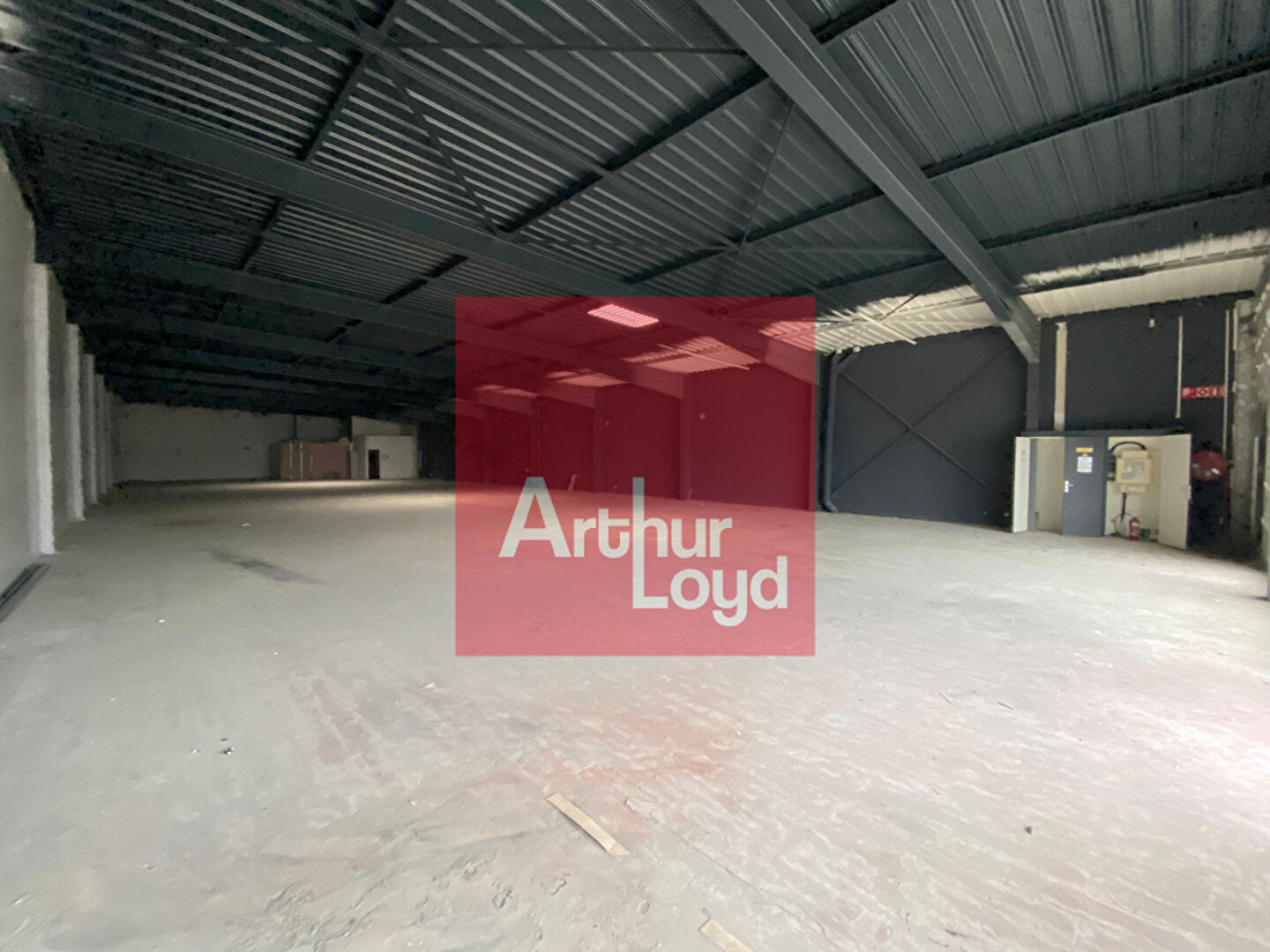 ARTHUR LOYD AGEN LOCATION-LOCAL COMMERCIAL-AUCH-32
