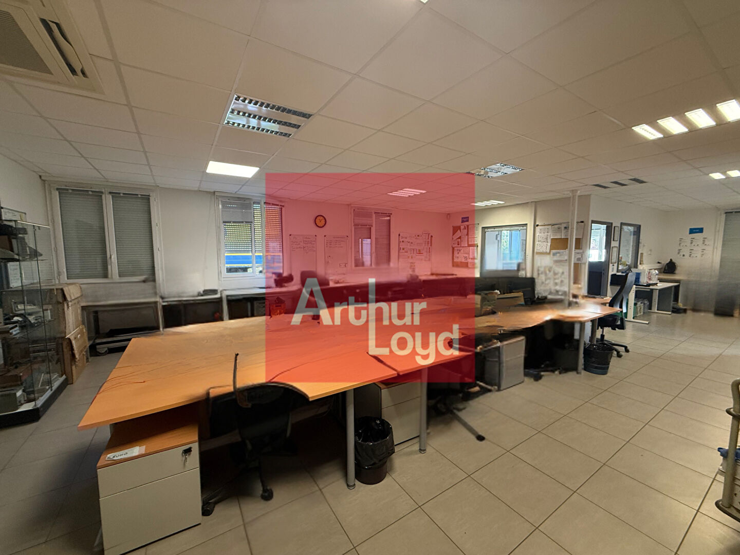 ARTHUR LOYD AGEN LOCATION-LOCAL D'ACTIVITE-LE_PASSAGE-47