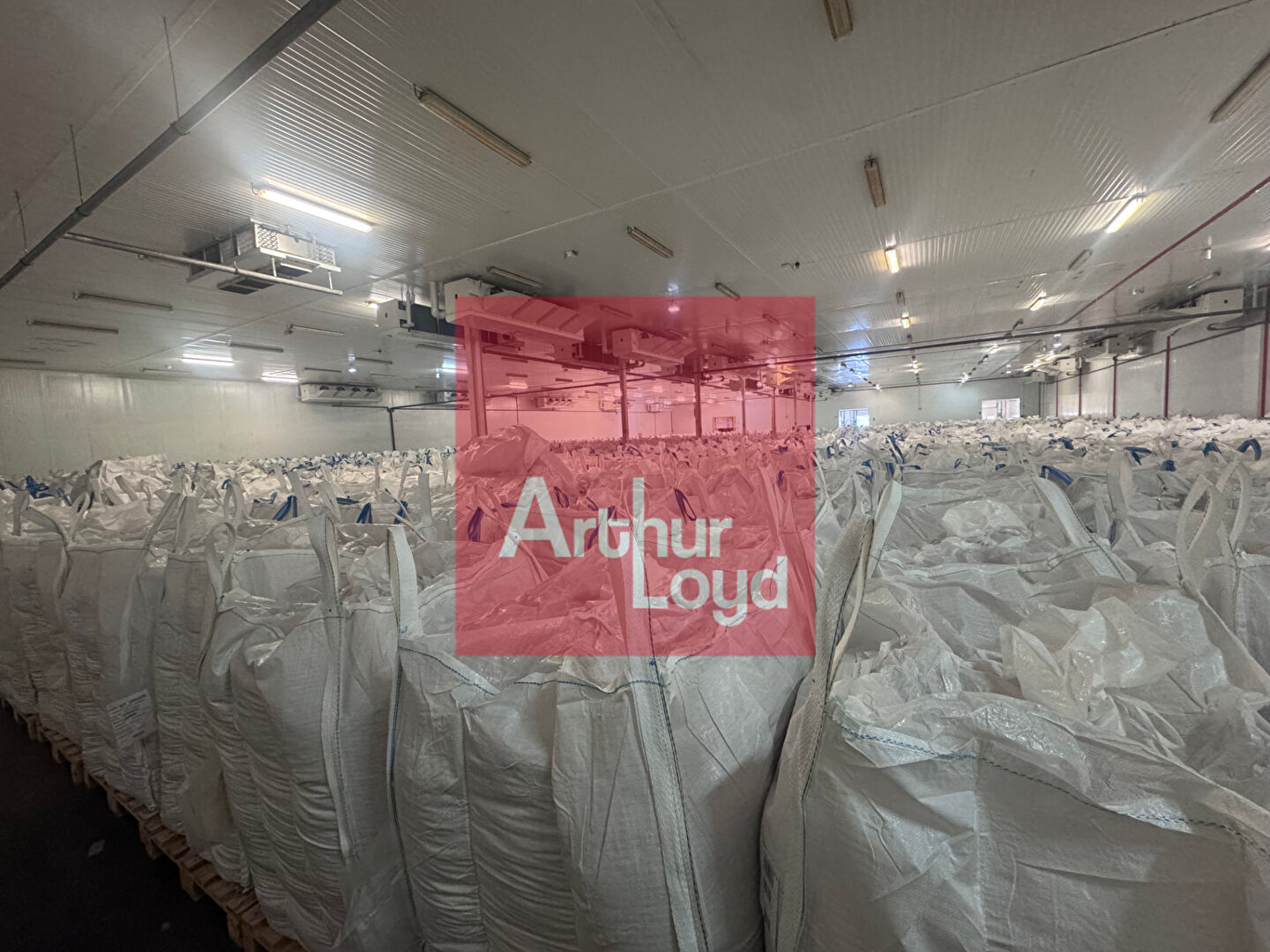 ARTHUR LOYD AGEN LOCATION-LOCAL D'ACTIVITE-BON_ENCONTRE-47