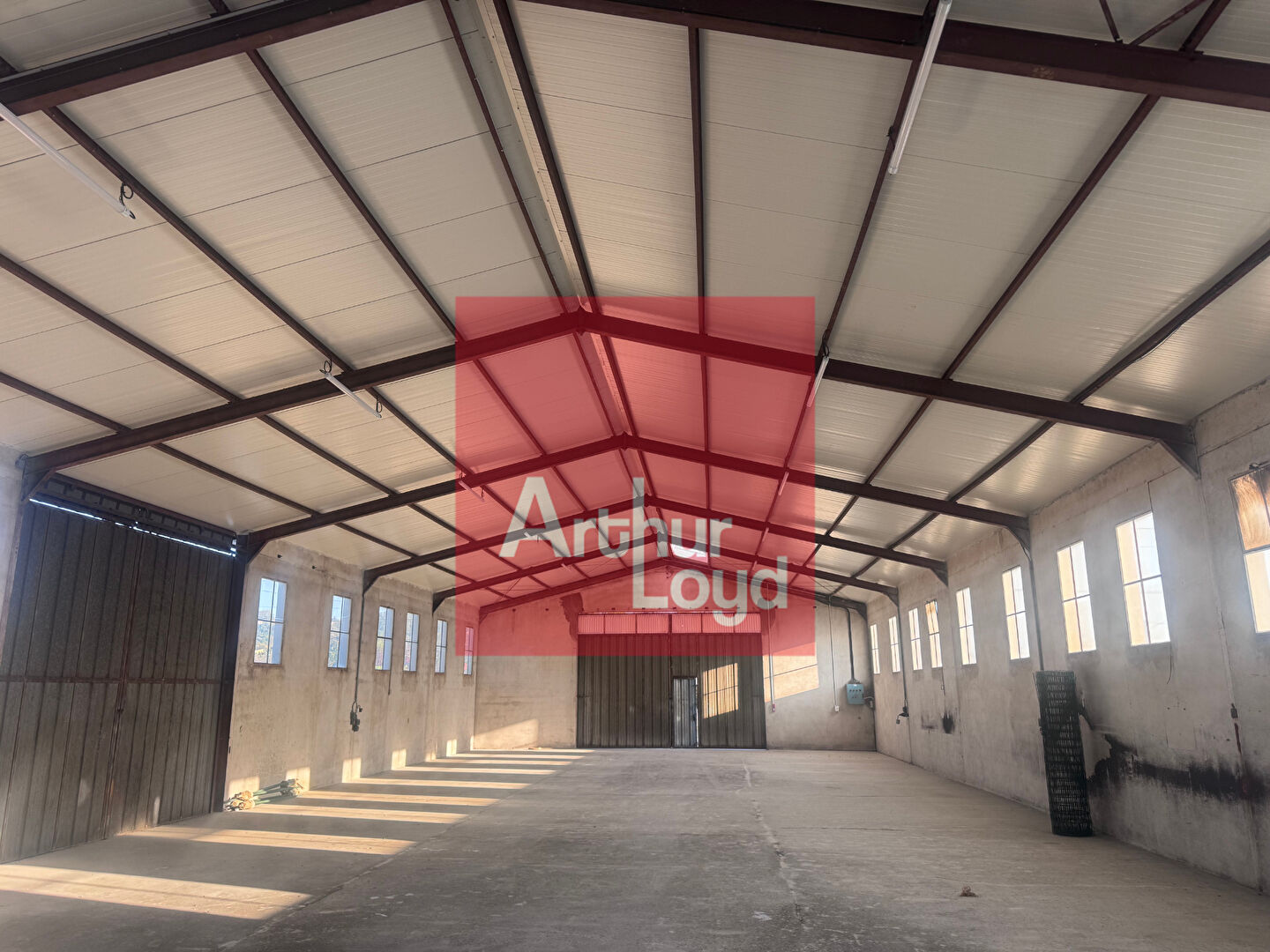ARTHUR LOYD AGEN LOCATION-LOCAL D'ACTIVITE-BON_ENCONTRE-47