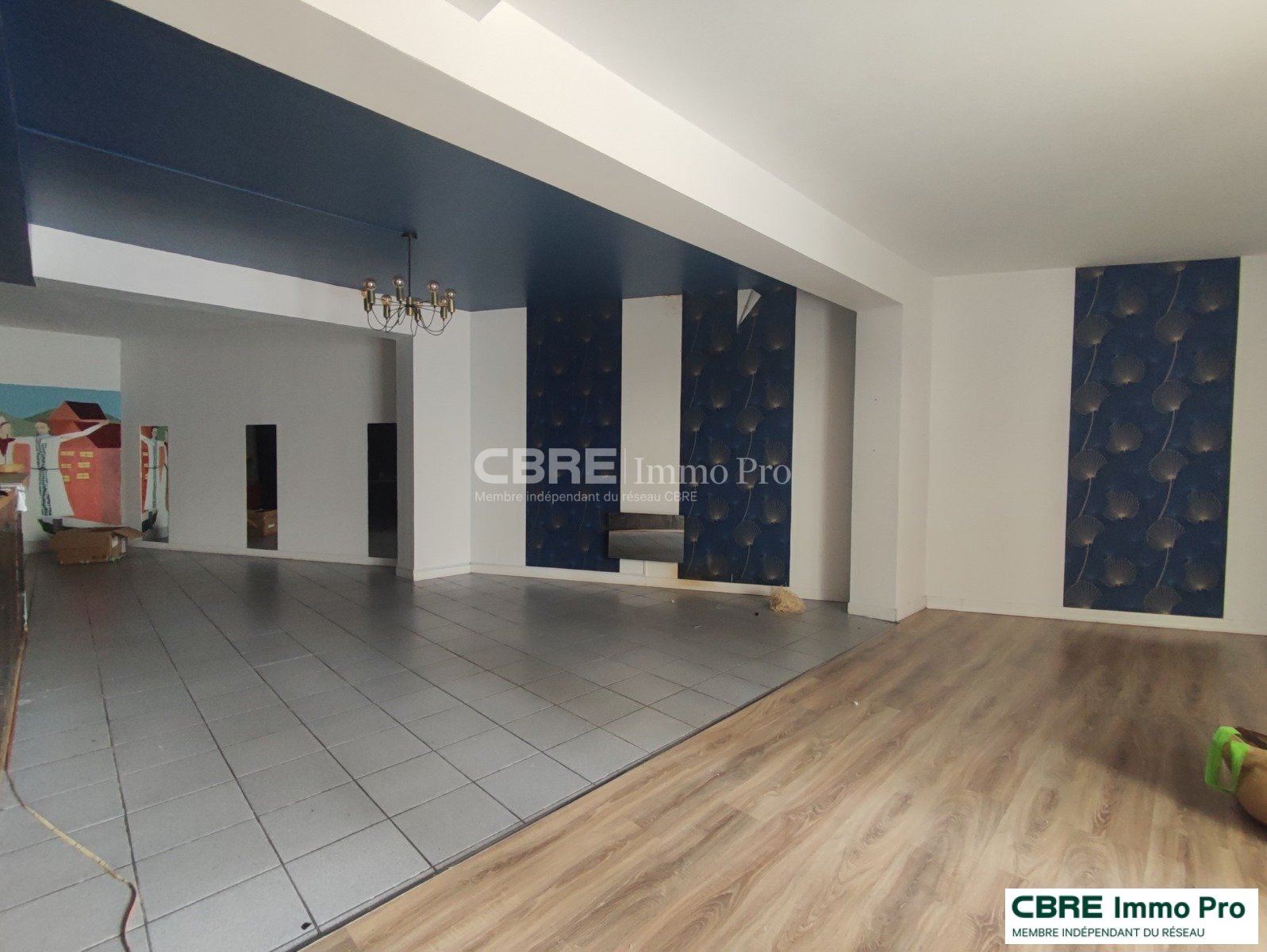 CBRE IMMO PRO LOCATION-LOCAL COMMERCIAL-CHATELLERAULT-86
