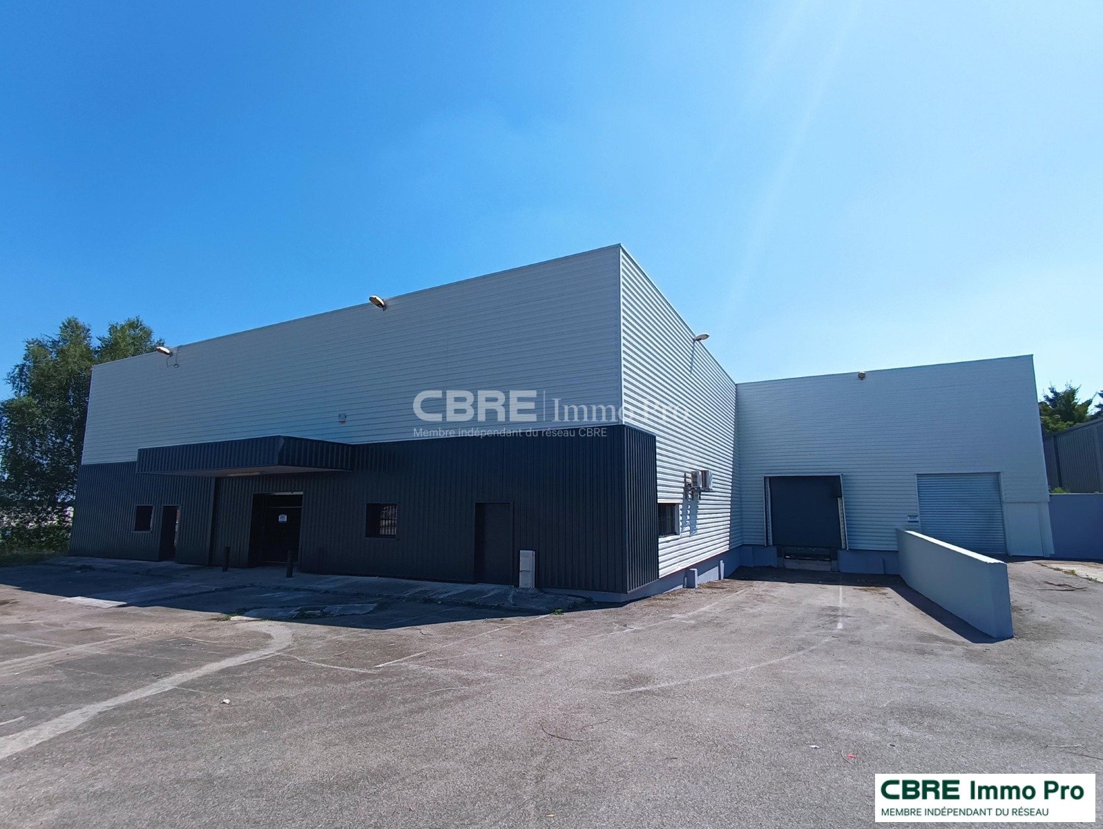 CBRE IMMO PRO VENTE-LOCAL D'ACTIVITE-CHASSENEUIL_DU_POITOU-86