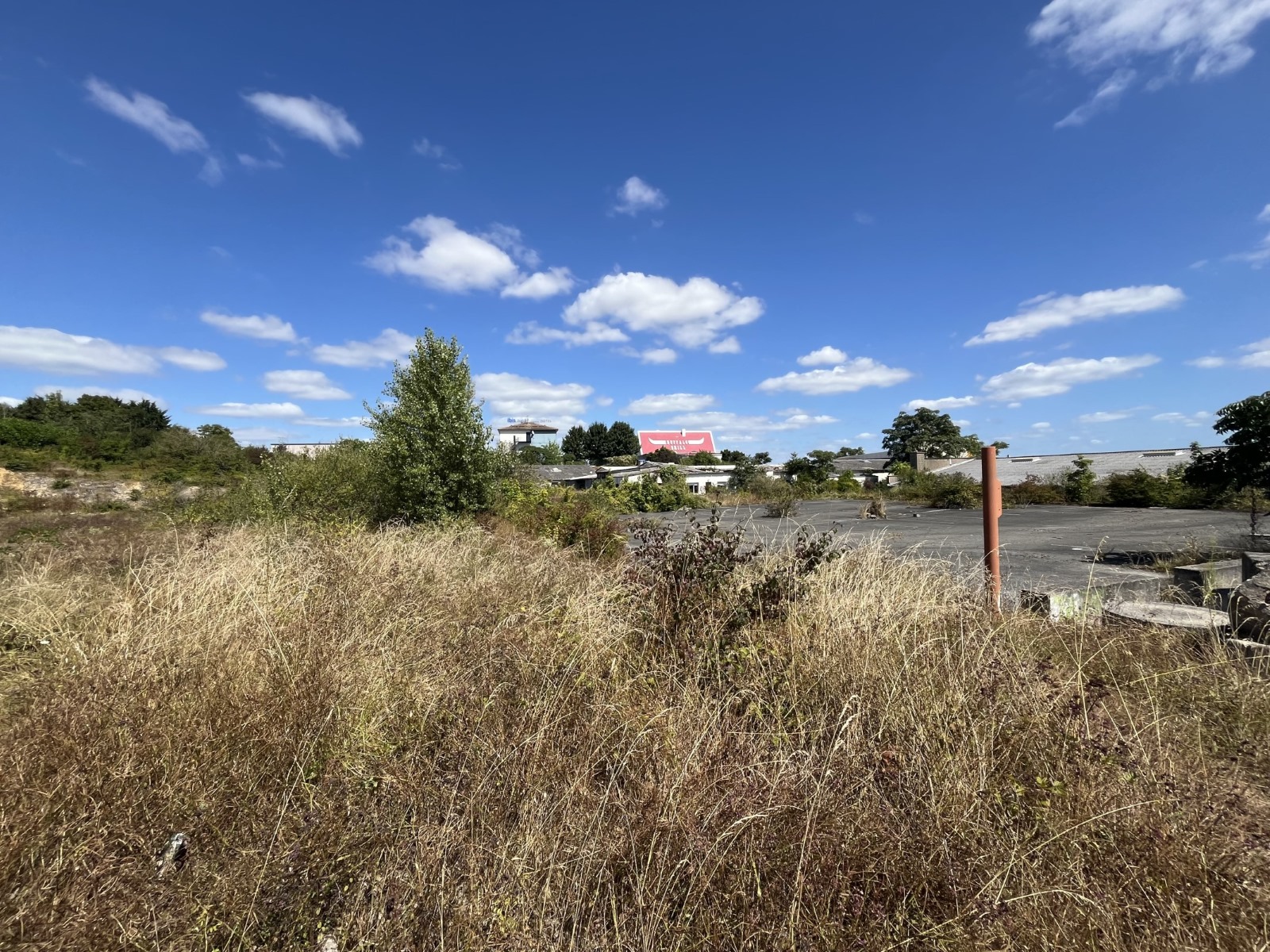 CBRE IMMO PRO VENTE-TERRAIN-CHASSENEUIL_DU_POITOU-86