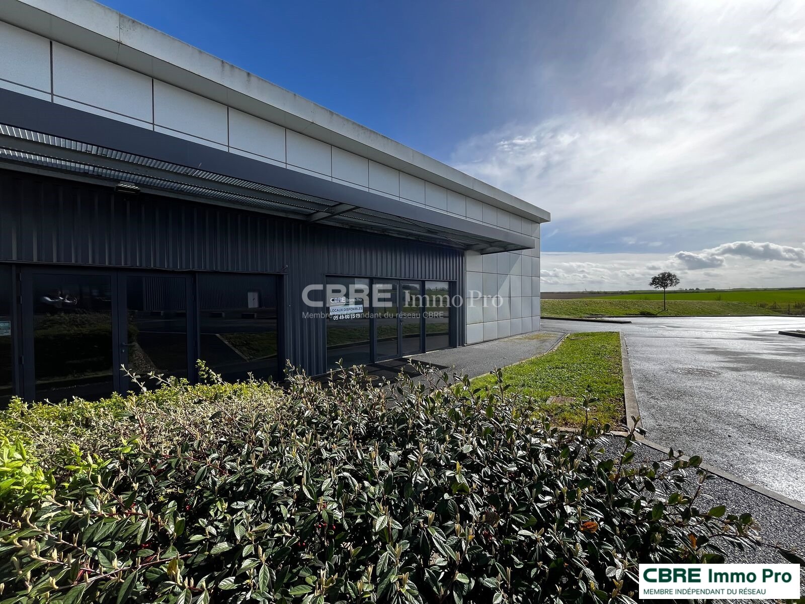CBRE IMMO PRO LOCATION-LOCAL COMMERCIAL-NEUVILLE_DE_POITOU-86