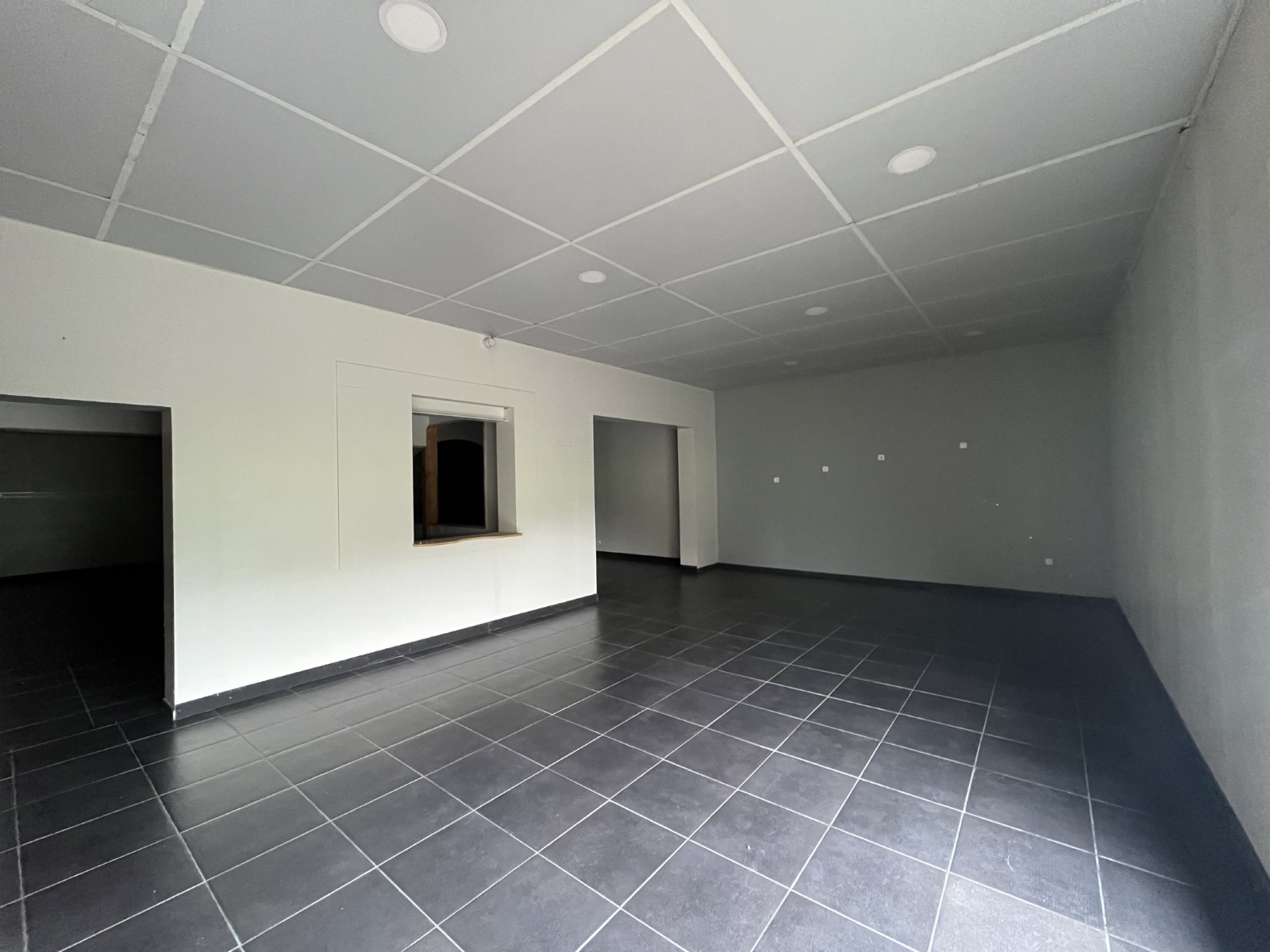 CBRE IMMO PRO LOCATION-LOCAL COMMERCIAL-MIGNE_AUXANCES-86