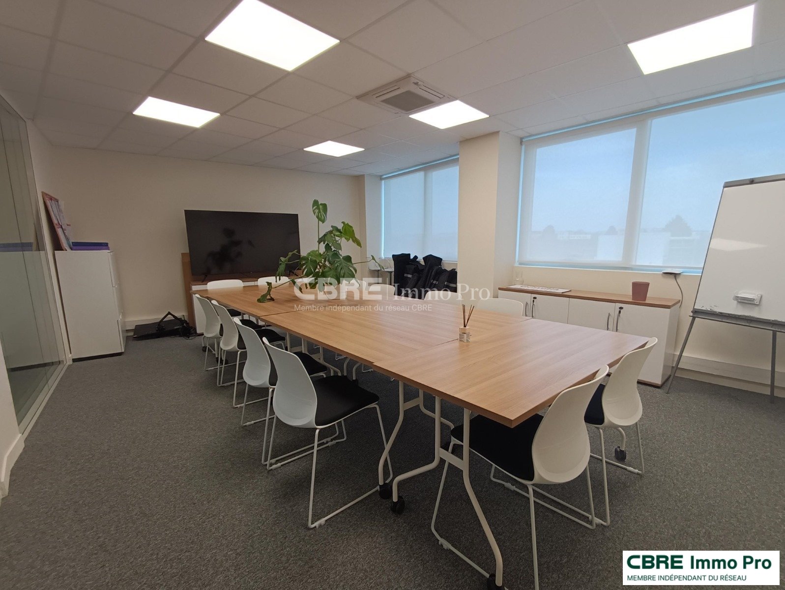 CBRE IMMO PRO LOCATION-BUREAUX-SAINT_BENOIT-86