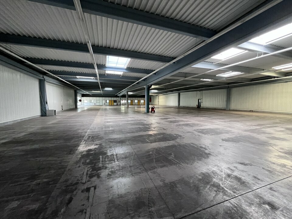 CBRE IMMO PRO LOCATION-LOCAL D'ACTIVITE-JAUNAY-MARIGNY-86