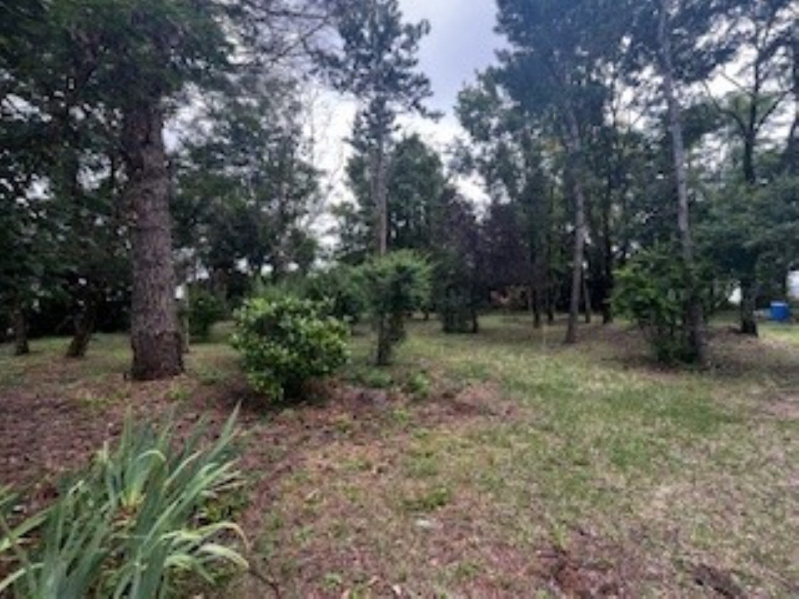 CBRE IMMO PRO VENTE-TERRAIN-CHASSENEUIL_DU_POITOU-86