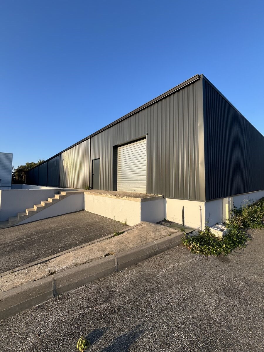 CBRE IMMO PRO VENTE-ENTREPOT-CHASSENEUIL_DU_POITOU-86