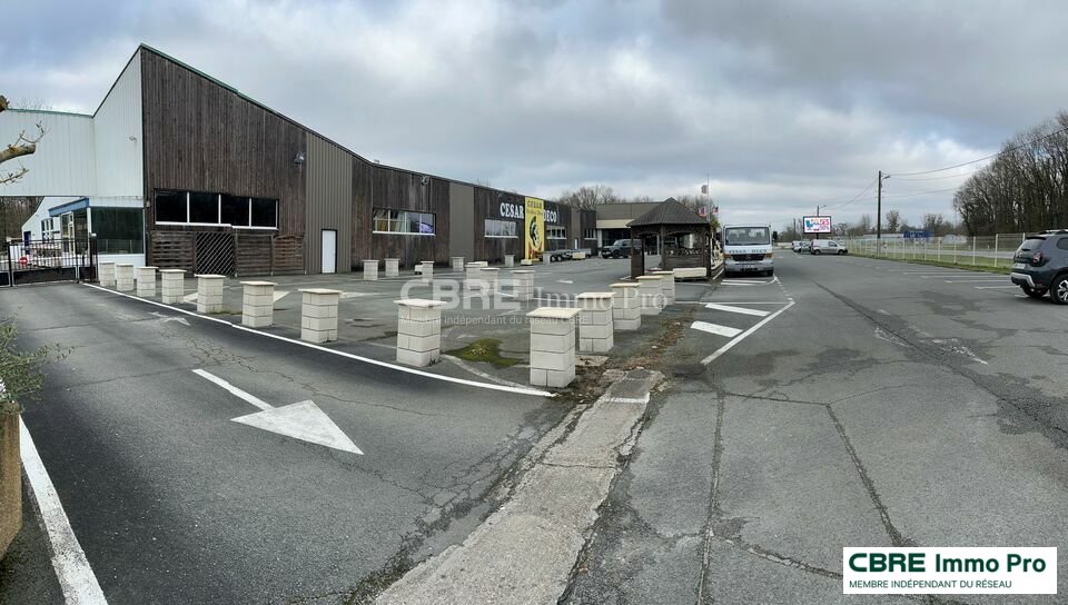 CBRE IMMO PRO LOCATION-LOCAL COMMERCIAL-MEDIS-17