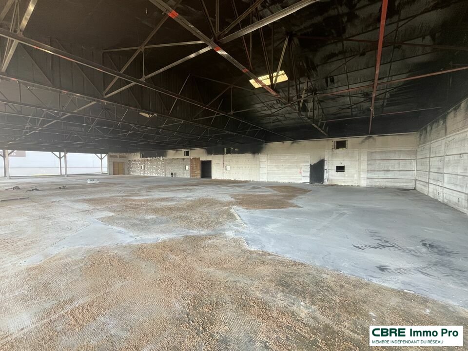 CBRE IMMO PRO LOCATION-LOCAL COMMERCIAL-CHASSENEUIL_DU_POITOU-86