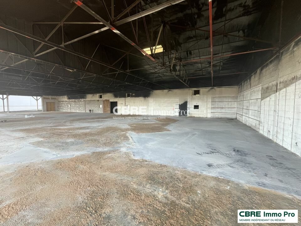 CBRE IMMO PRO LOCATION-LOCAL COMMERCIAL-CHASSENEUIL_DU_POITOU-86