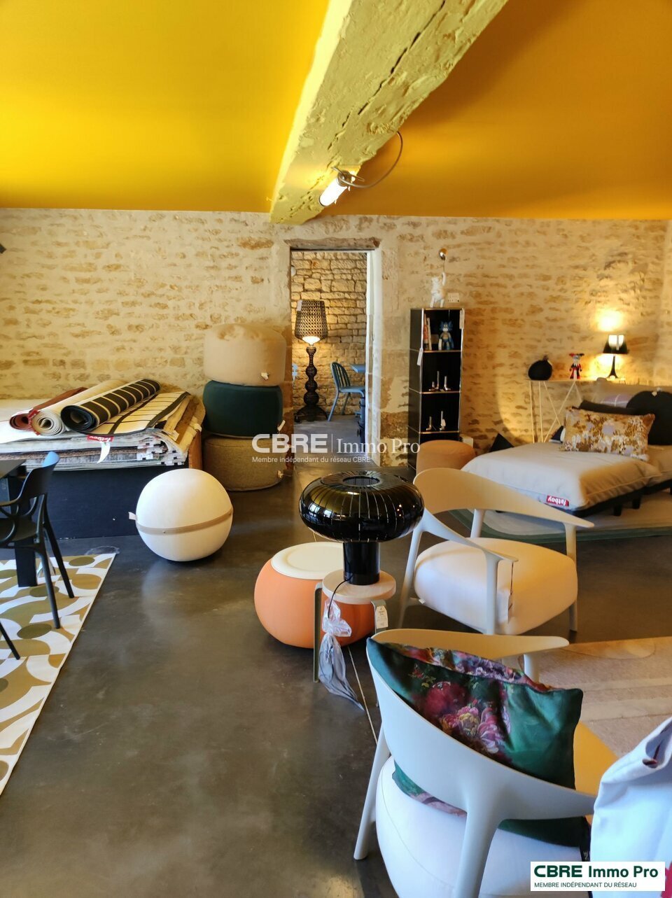 CBRE IMMO PRO VENTE-LOCAL COMMERCIAL-BESSINES-79