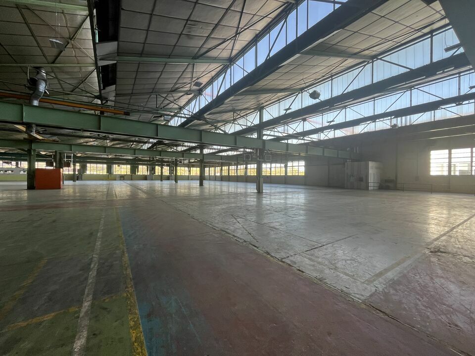 CBRE IMMO PRO LOCATION-ENTREPOT-ANGOULEME-16