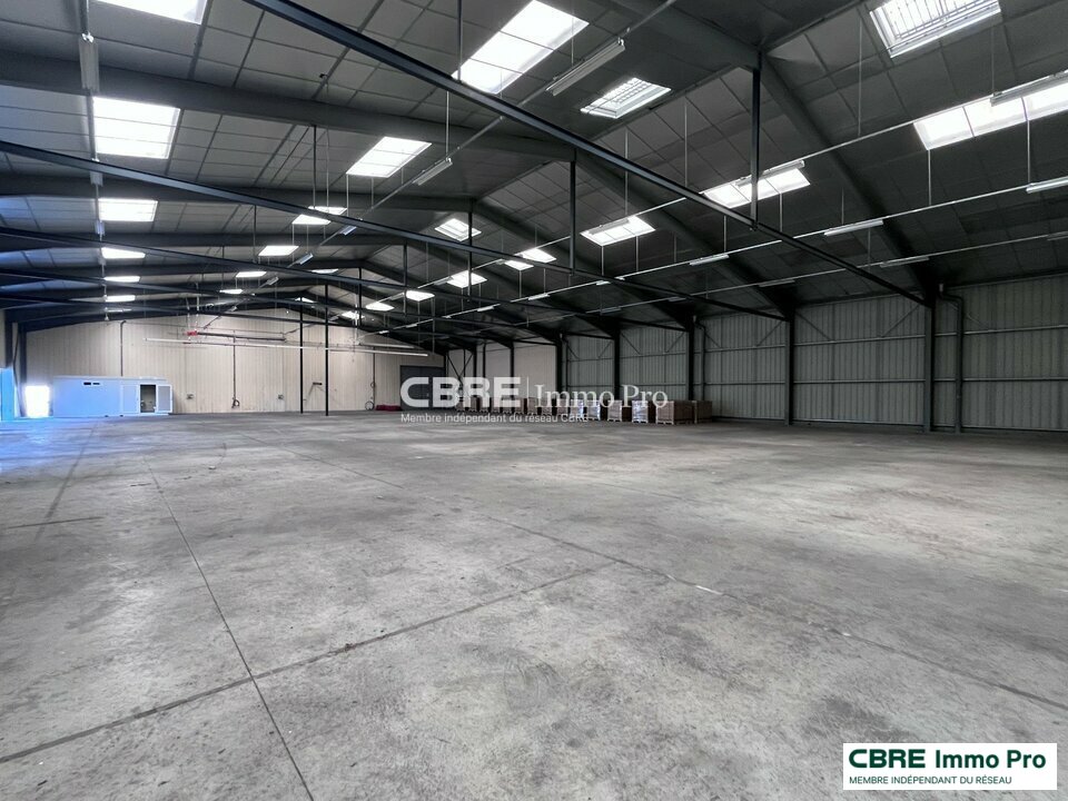 CBRE IMMO PRO LOCATION-ENTREPOT-NUEIL-LES-AUBIERS-79