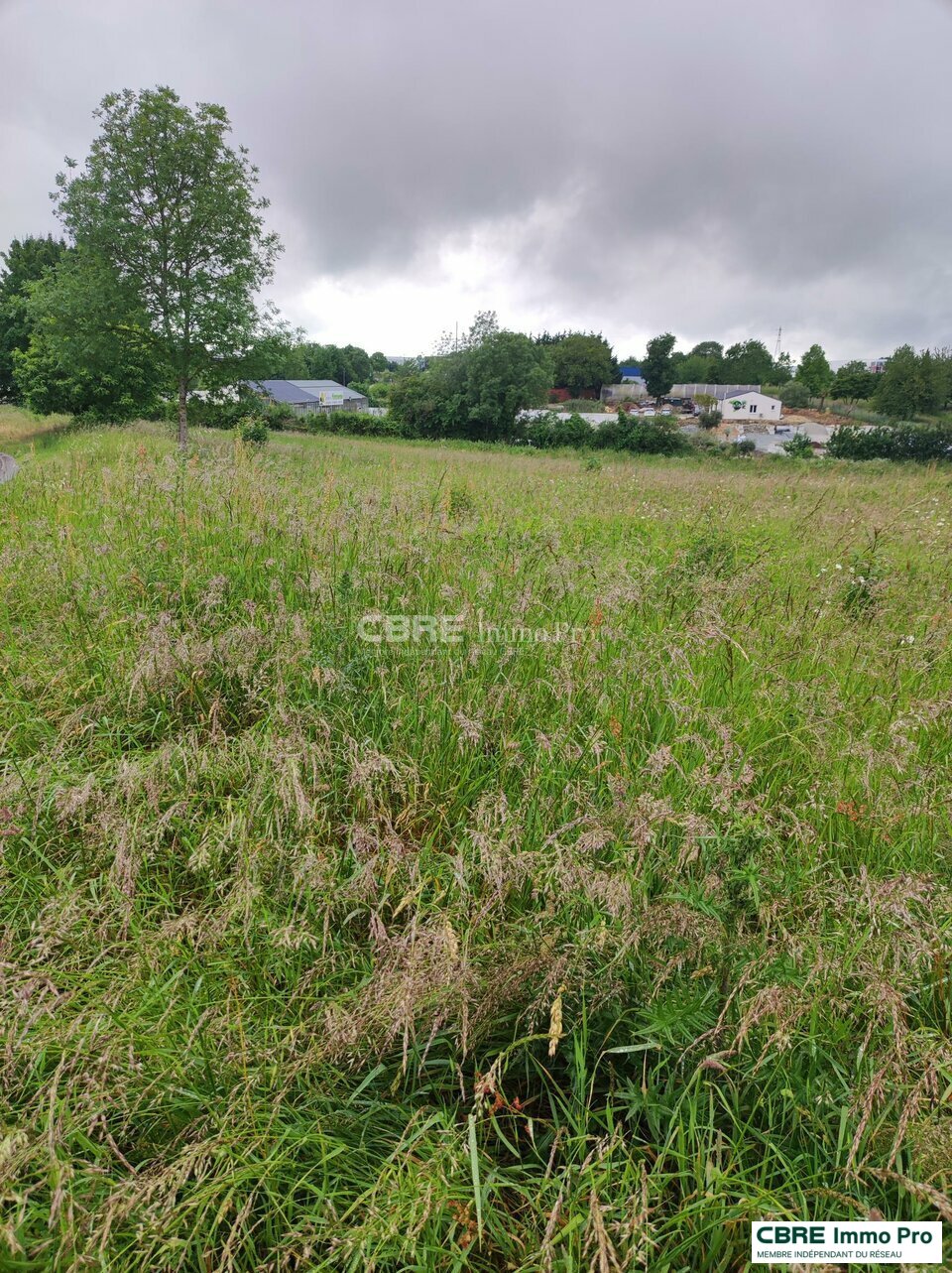 CBRE IMMO PRO VENTE-TERRAIN-AZAY-LE-BRULE-79