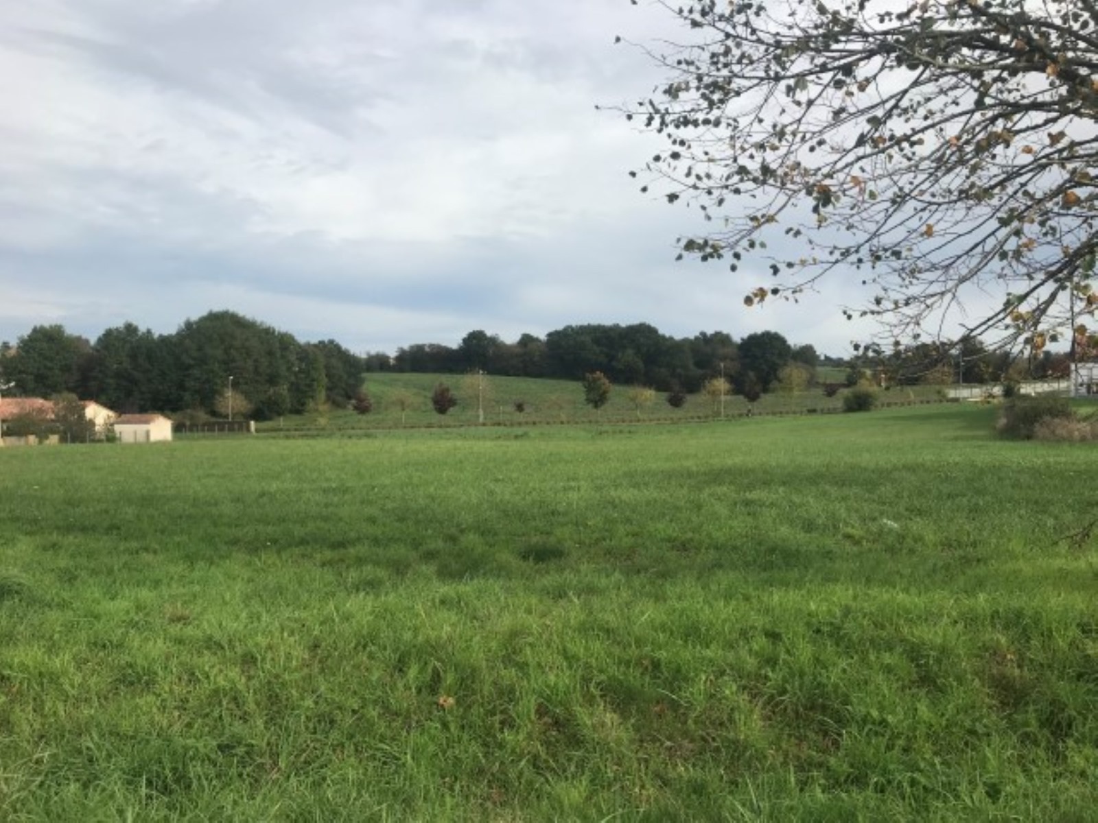CBRE IMMO PRO VENTE-TERRAIN-CIVRAY-86