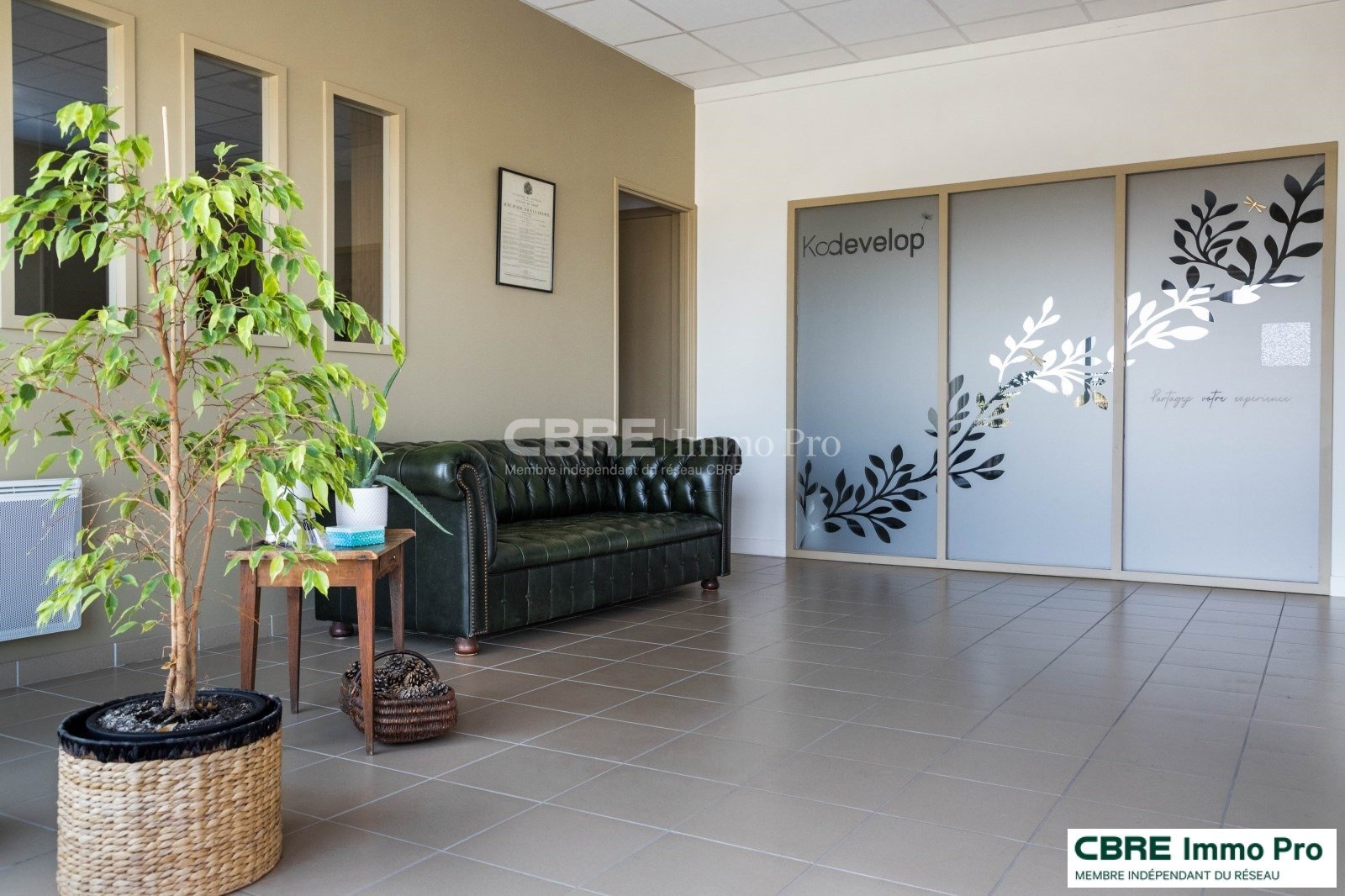 CBRE IMMO PRO LOCATION-BUREAUX-CISSE-86