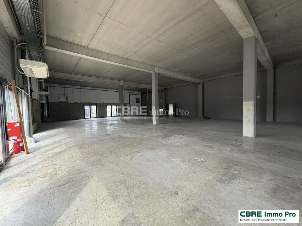 CBRE IMMO PRO LOCATION-LOCAL COMMERCIAL-BIARD-86