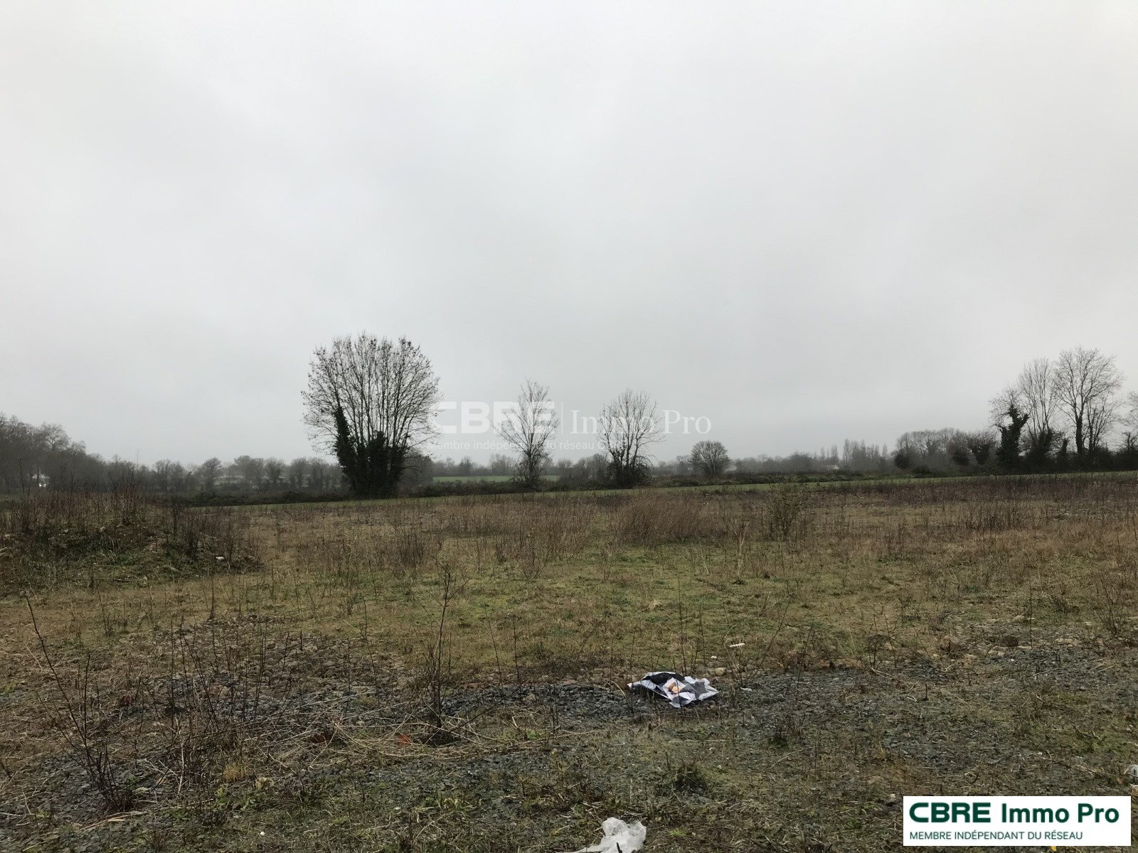 CBRE IMMO PRO VENTE-TERRAIN-AZAY_LE_BRULE-79