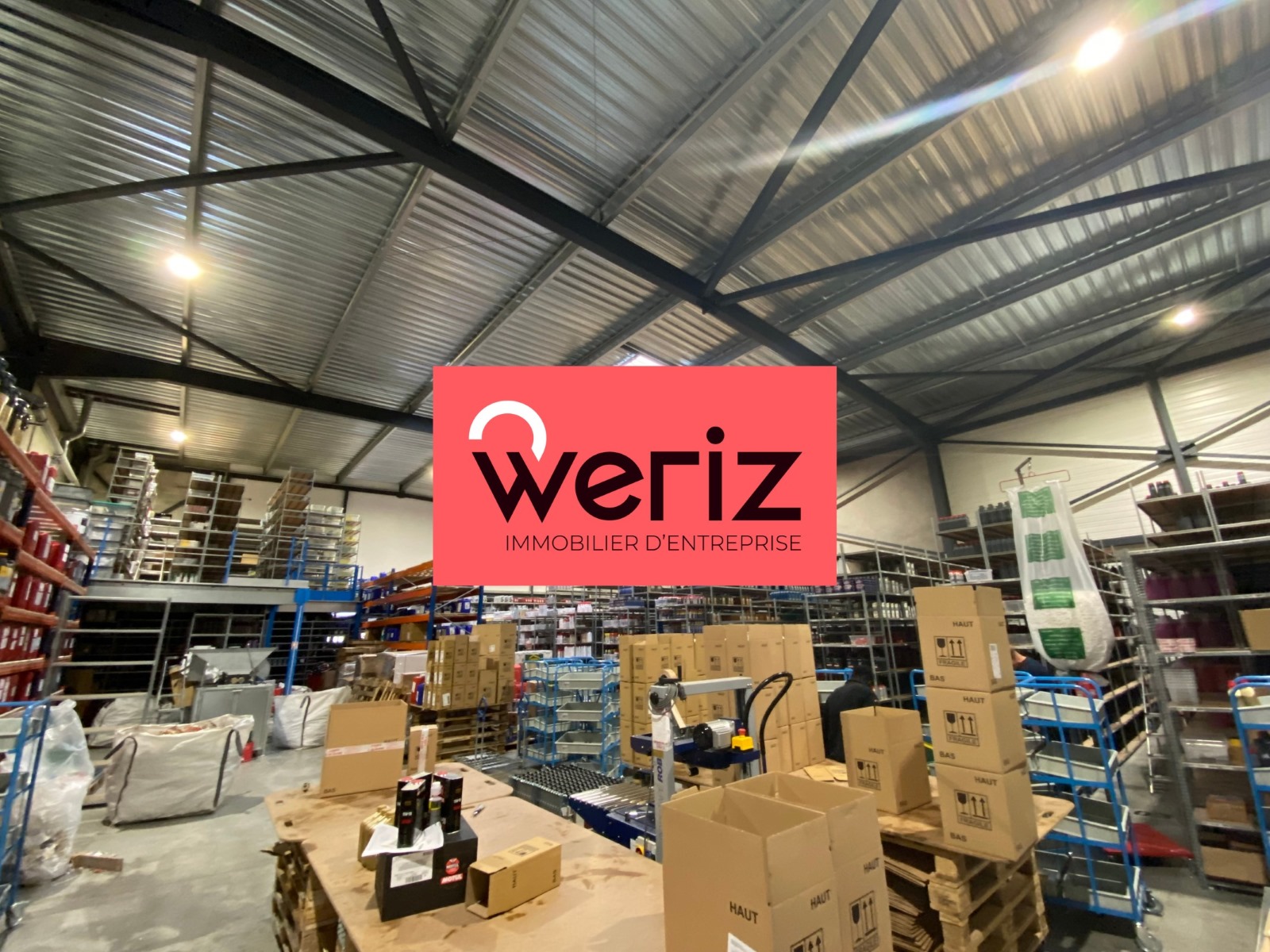 WERIZ LOCATION-LOCAL D'ACTIVITE-AIX_EN_PROVENCE-13