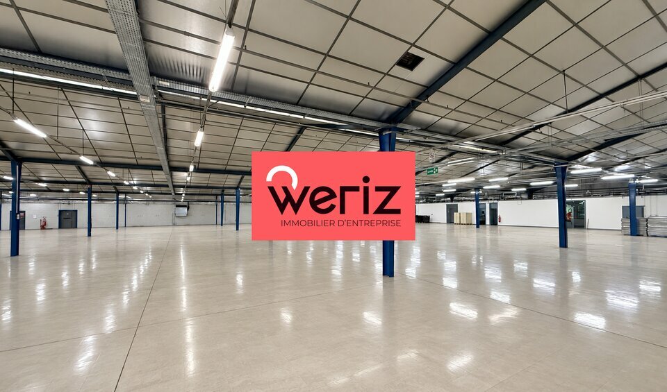 WERIZ LOCATION-LOCAL D'ACTIVITE-MARSEILLE-13