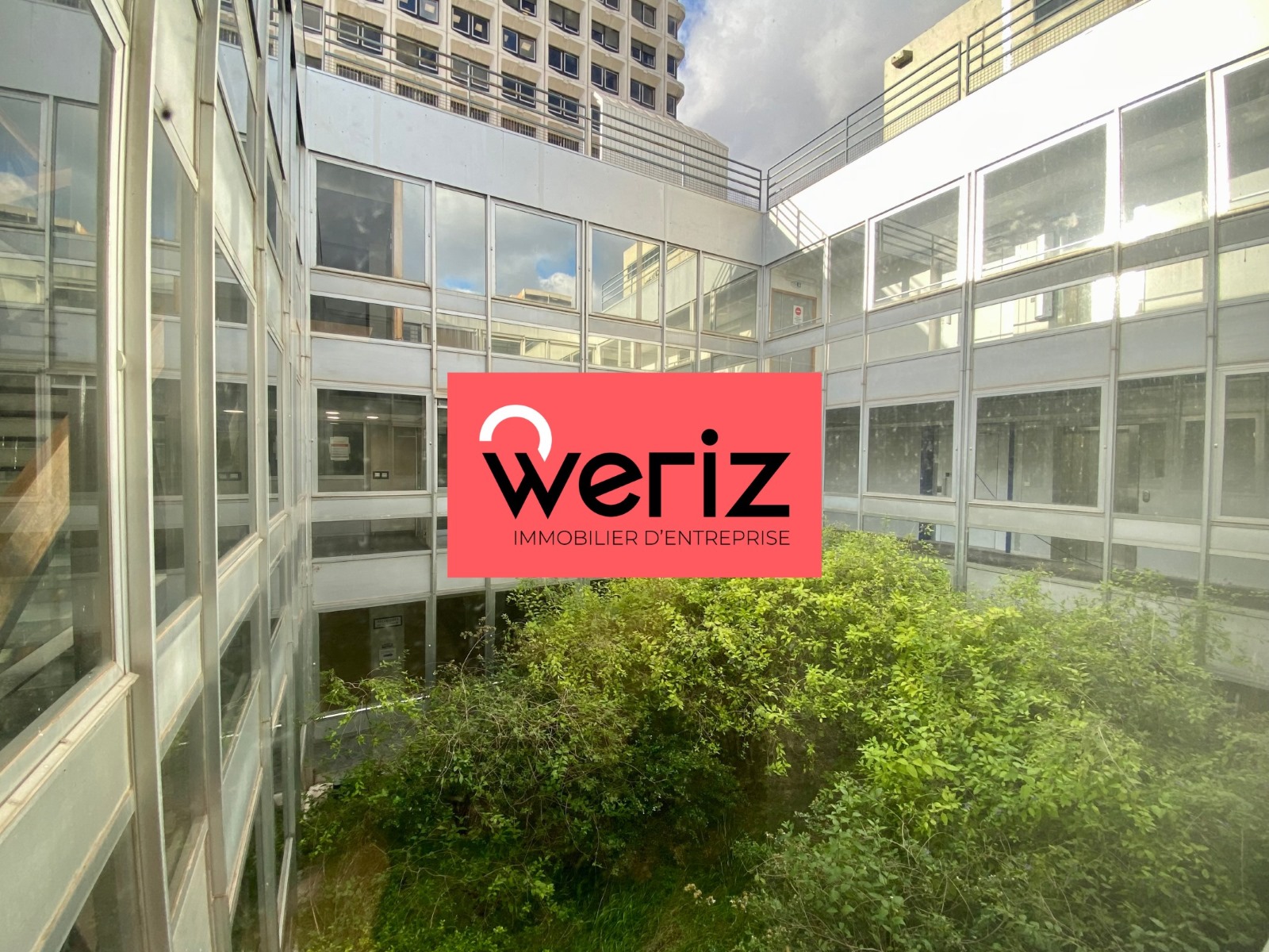 WERIZ VENTE-BUREAUX-MARSEILLE-13