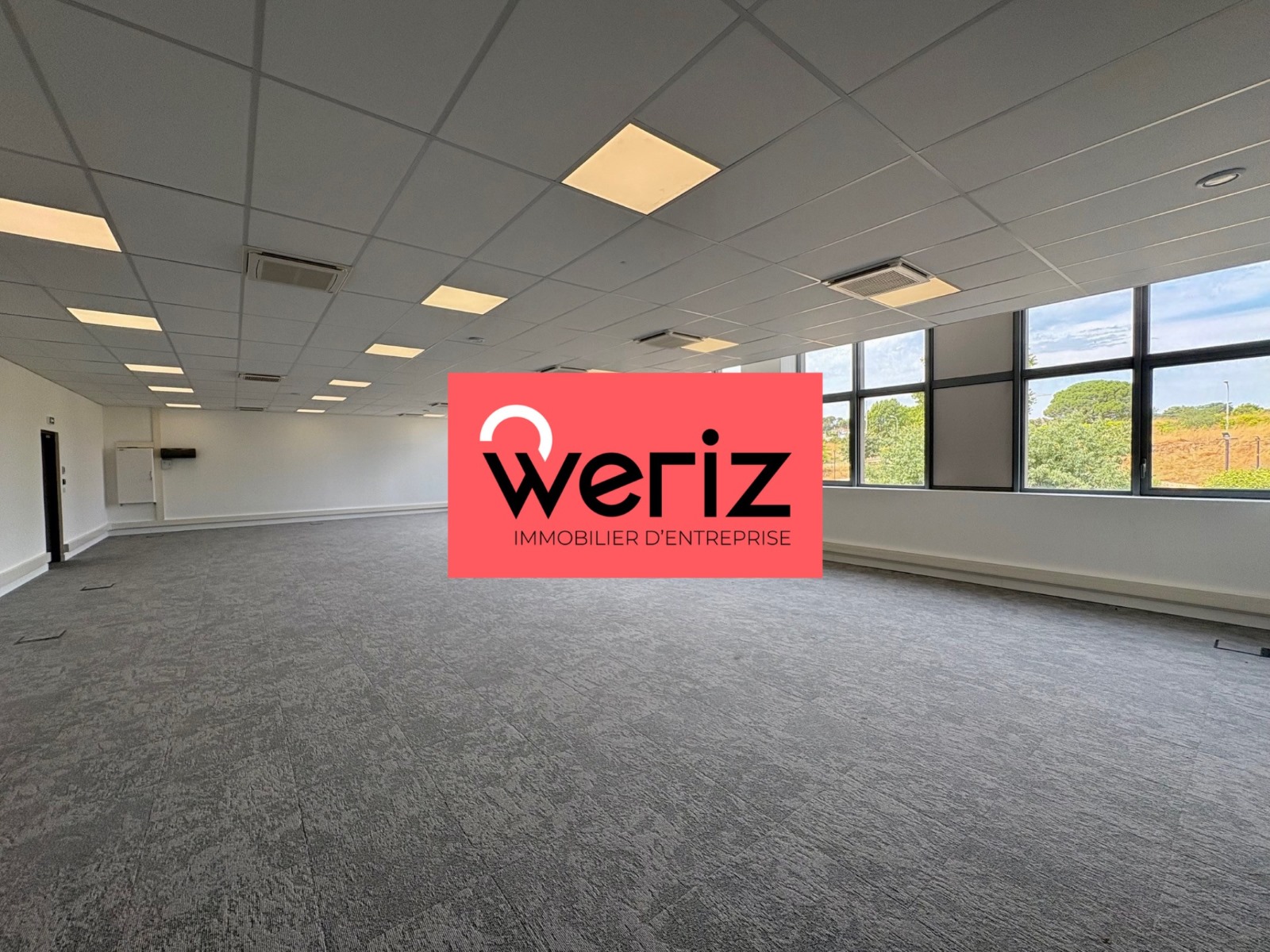 WERIZ LOCATION-BUREAUX-MARSEILLE-13