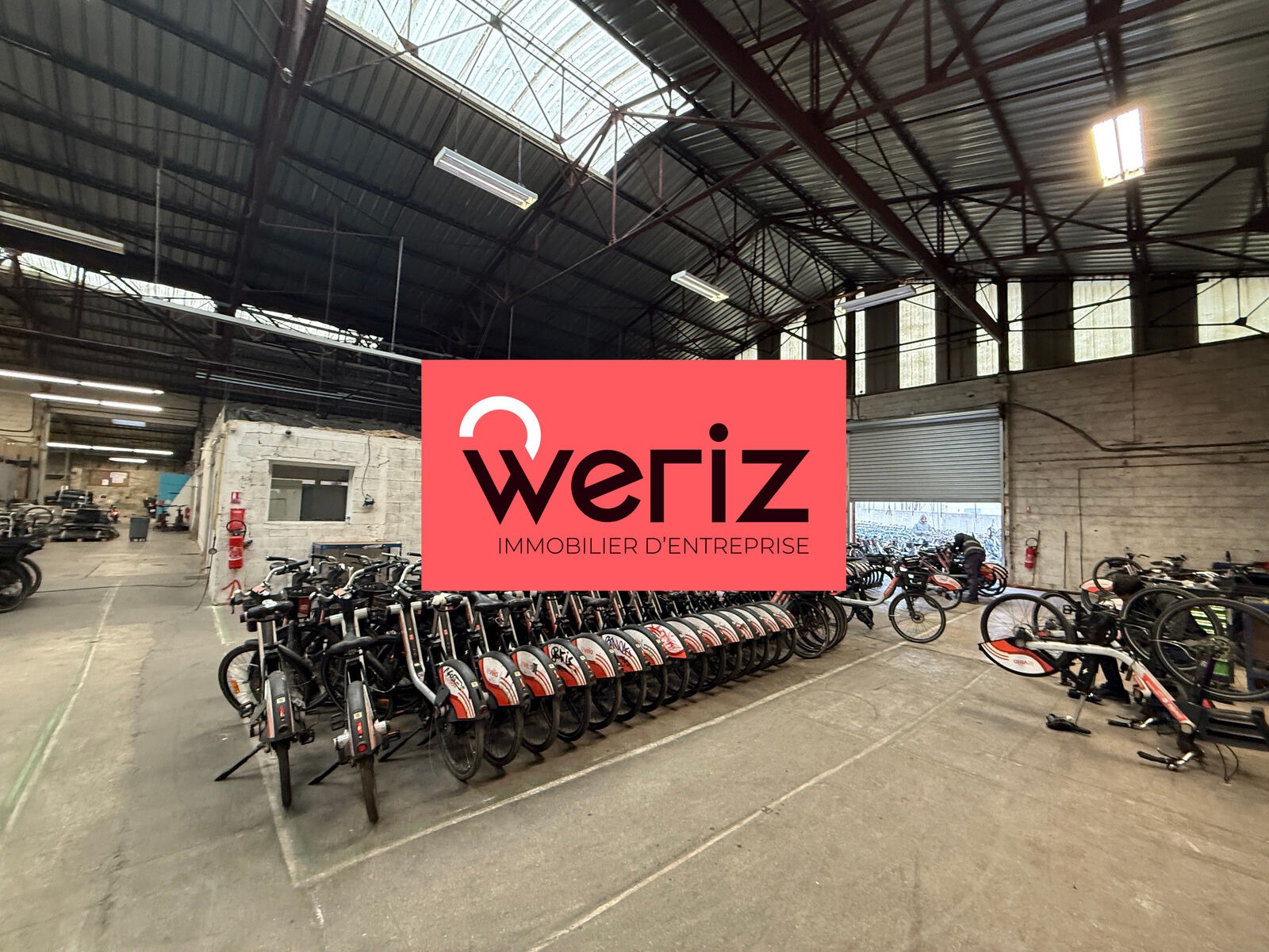 WERIZ LOCATION-LOCAL D'ACTIVITE-MARSEILLE-13
