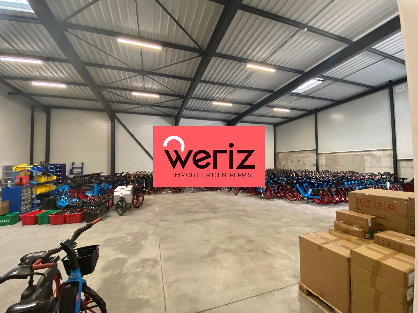 WERIZ LOCATION-LOCAL D'ACTIVITE-MARSEILLE-13