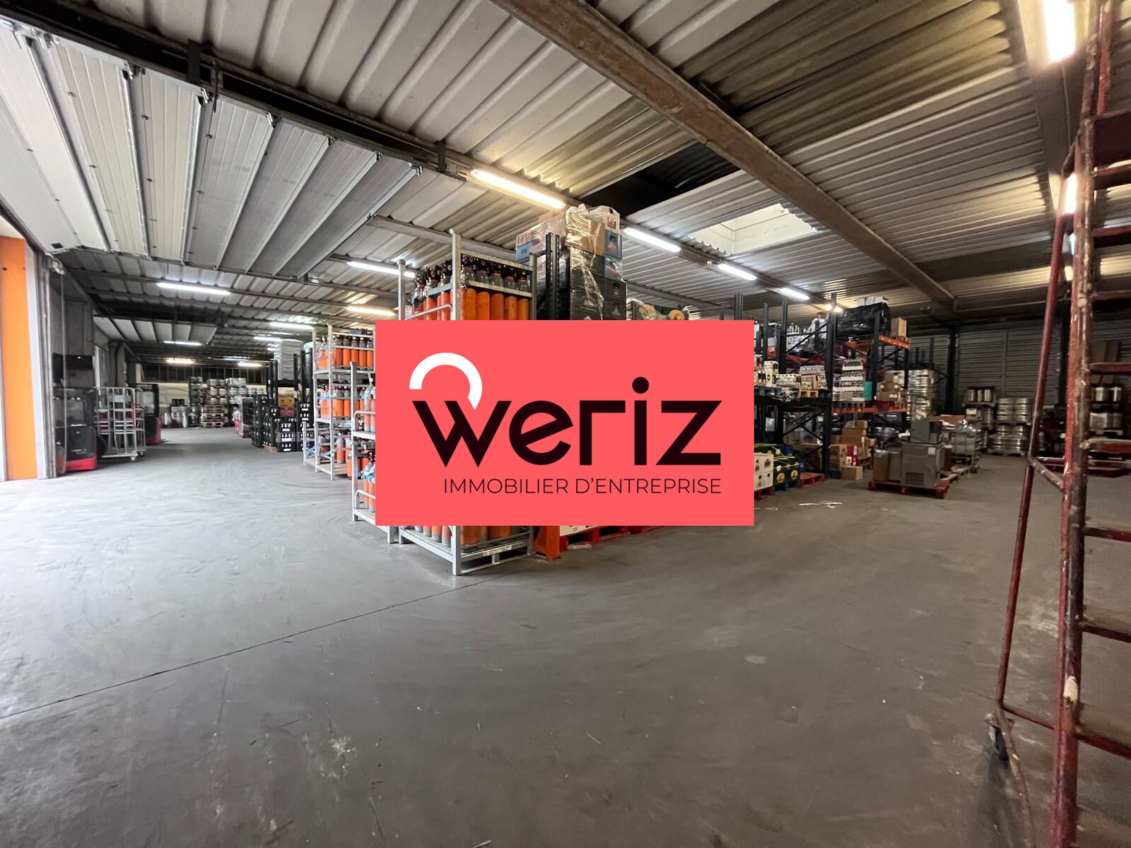 WERIZ LOCATION-LOCAL D'ACTIVITE-MARSEILLE-13