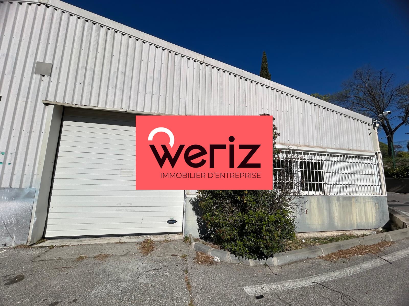 WERIZ LOCATION-LOCAL D'ACTIVITE-MARSEILLE-13