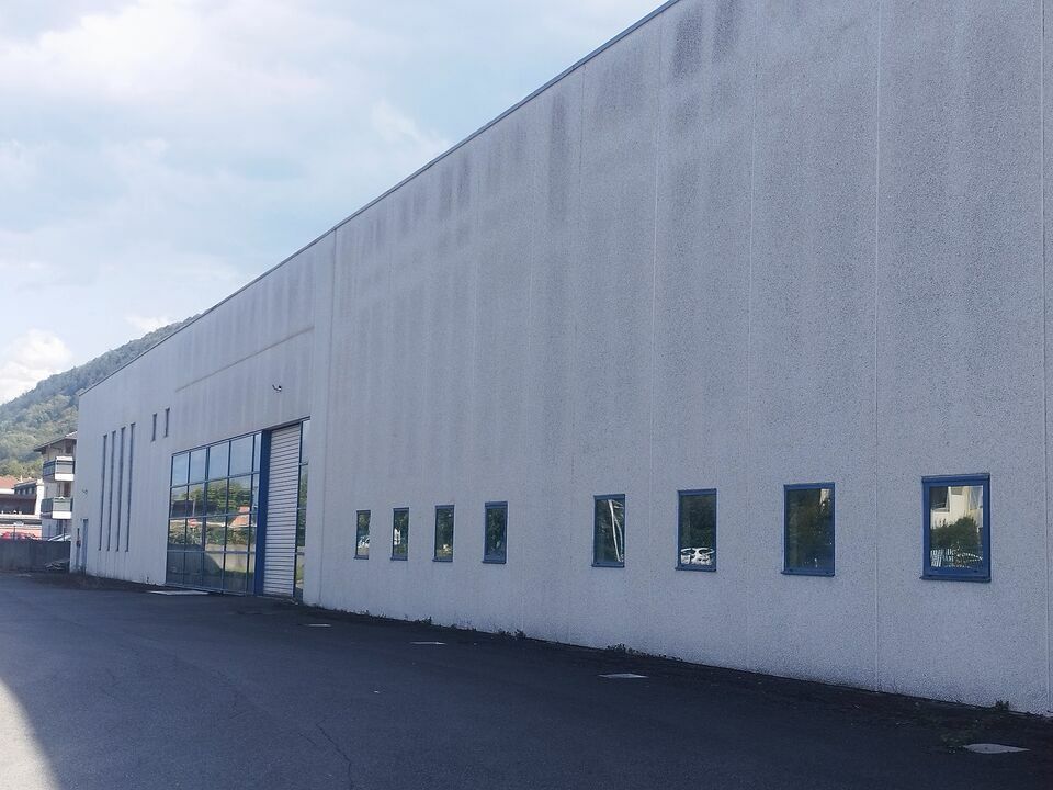L3P VENTE-LOCAL D'ACTIVITE-VOUGY-74